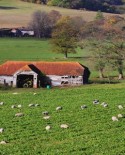 Rural-Community