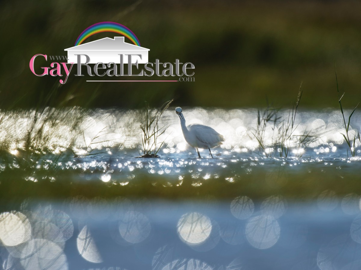 From Wilmington to Dover: LGBTQ+ Cities in Delaware