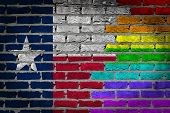 The Thriving LGBT Community That Makes Up Dallas Is Growing