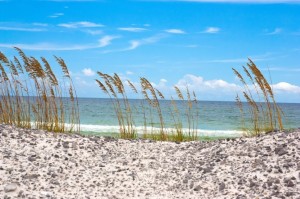 Great Cities for the LGBT Community in Florida